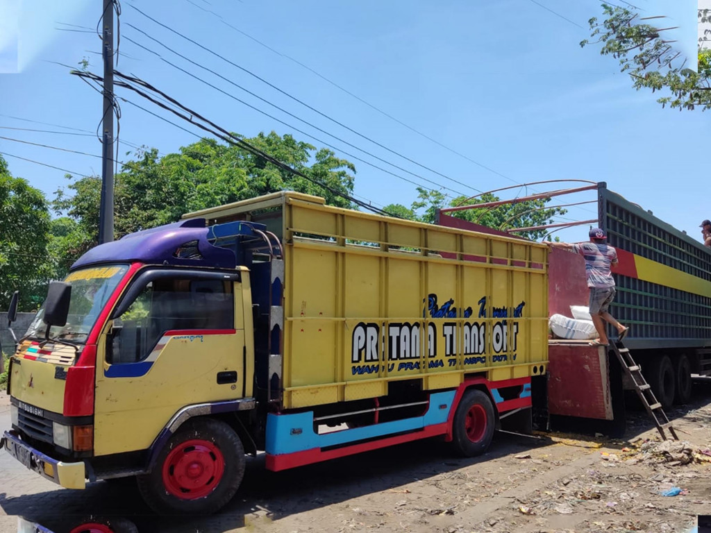 ekspedisi container surabaya merauke