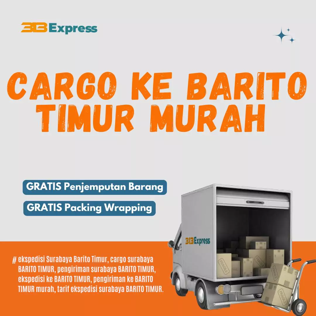 Ekspedisi Cargo Murah Ke Barito Timur